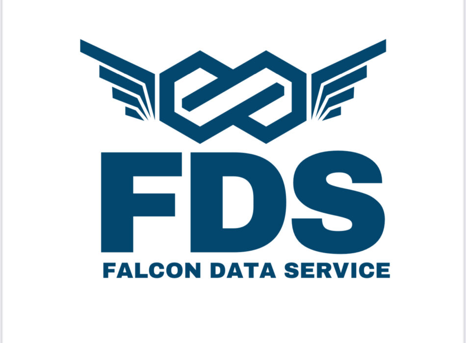 FALCON DATA SERVICE